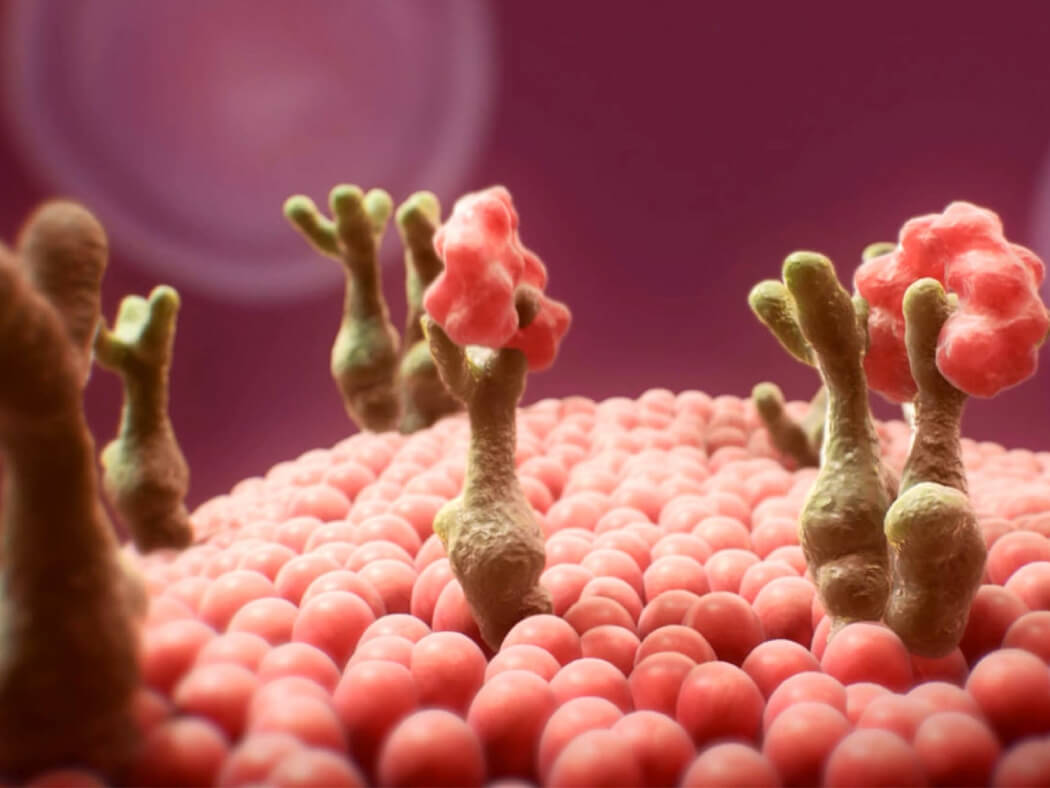 Ung Thư Vú Thể Nội Tiết: Những Điều Bạn Cần Biết Về Loại Ung Thư Phổ Biến Này